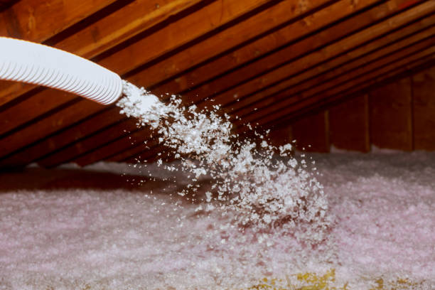 Best Types of Insulation in Templeton, CA